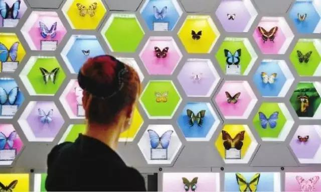 太原投资2000万风情文化节!引来50万只萤火虫!20万只蝴