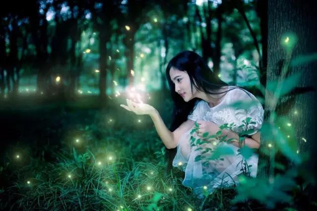 太原投资2000万风情文化节!引来50万只萤火虫!20万只蝴