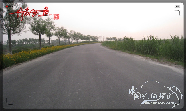 马踏湖国家湿地公园远足,马踏湖国家湿地公园游览路线