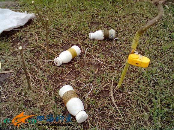 手线钓法能钓什么鱼,民间手抛线钓鱼视频