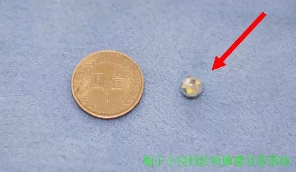 小孩真的什么东西都可以塞进鼻孔？