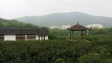 无锡属于贫穷吗,无锡算是小城市吗