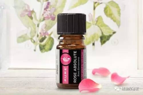 为什么喜欢檀香精油,玫瑰精油为什么让人愉悦