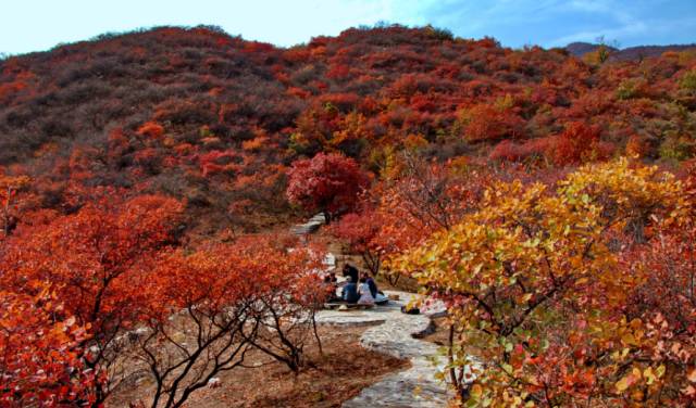 房山田园风情农业园,房山农业园