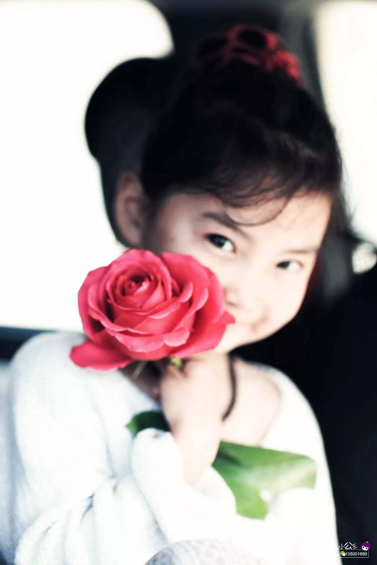 房车小公主环球旅行日记,房车小公主的环球旅行