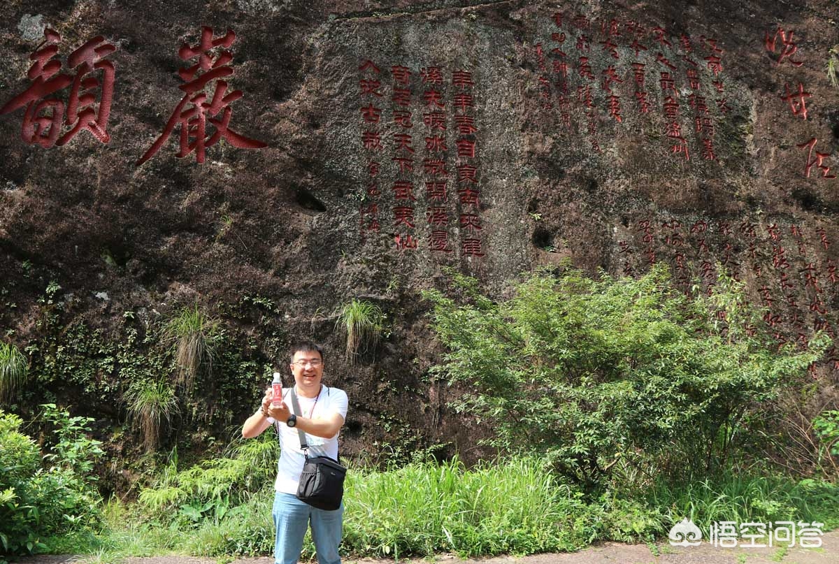 老杨说茶最新视频,华源武夷山岩茶大红袍怎么样