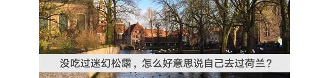 藏在这6个精致去处里的上海，让你从日本穿越到北欧