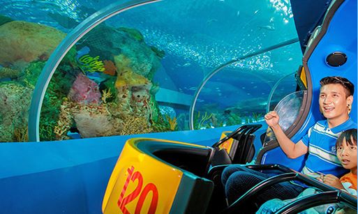 带小孩珠海长隆海洋王国攻略最新,暑假母子俩游览珠海长隆海洋世界