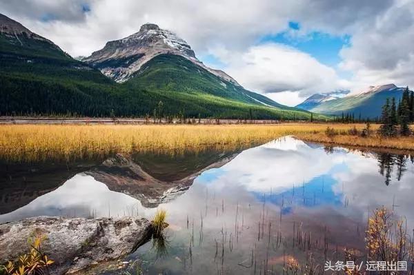 科普移民知识,移民知识大百科科普帖