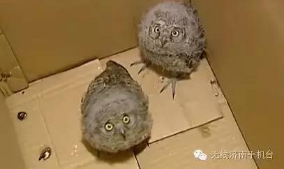 济南人不可不知!围观7月起新规来袭微信支付宝要实名