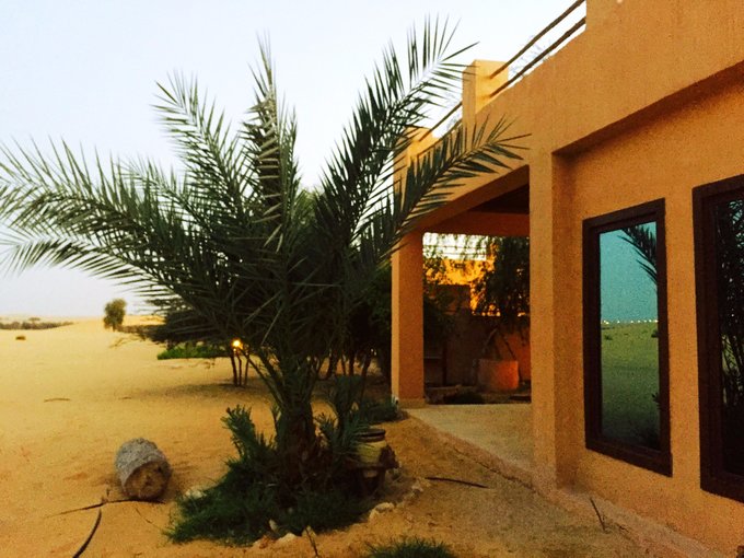 迪拜阿布扎比5天旅游攻略,迪拜阿布扎比一日游攻略