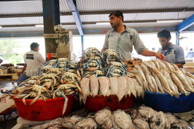 迪拜阿布扎比5天旅游攻略,迪拜阿布扎比一日游攻略