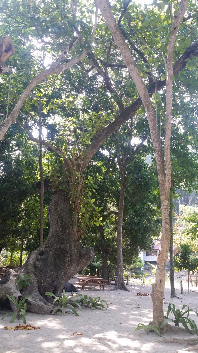 普吉岛斯米兰浮潜拍摄,普吉岛斯米兰游艇