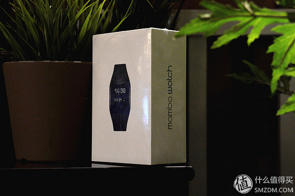 乐心手环智能手表,乐心手环mambo什么价