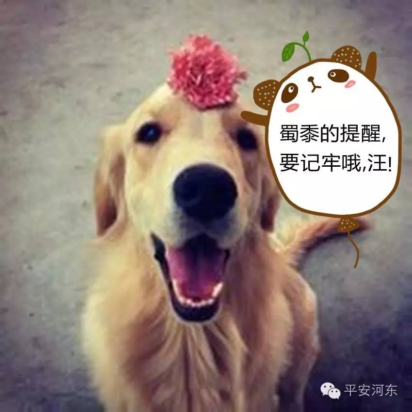 二手网络交易平台骗局,二手交易网被骗警方提示