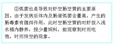 南美白对虾空肠空胃图,怎么判断南美白对虾空肠空胃