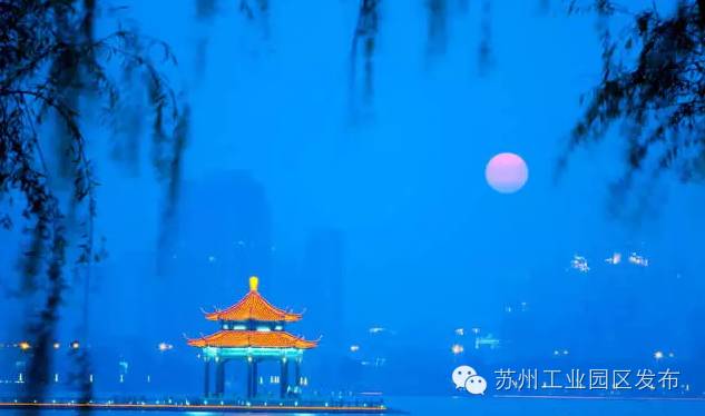 园区公交新增线路,园区公交线路图