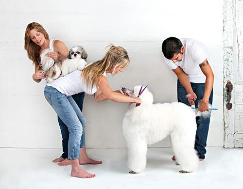 瀹犵墿闈撹偆鐧剧,鎵潛瀹犵墿