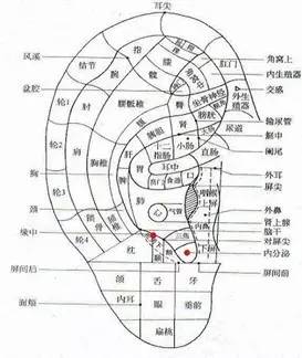 鑰崇┐鍩嬬苯鎿嶄綔浣滅敤,鑰崇┐鍩嬬苯涓村簥杩愮敤