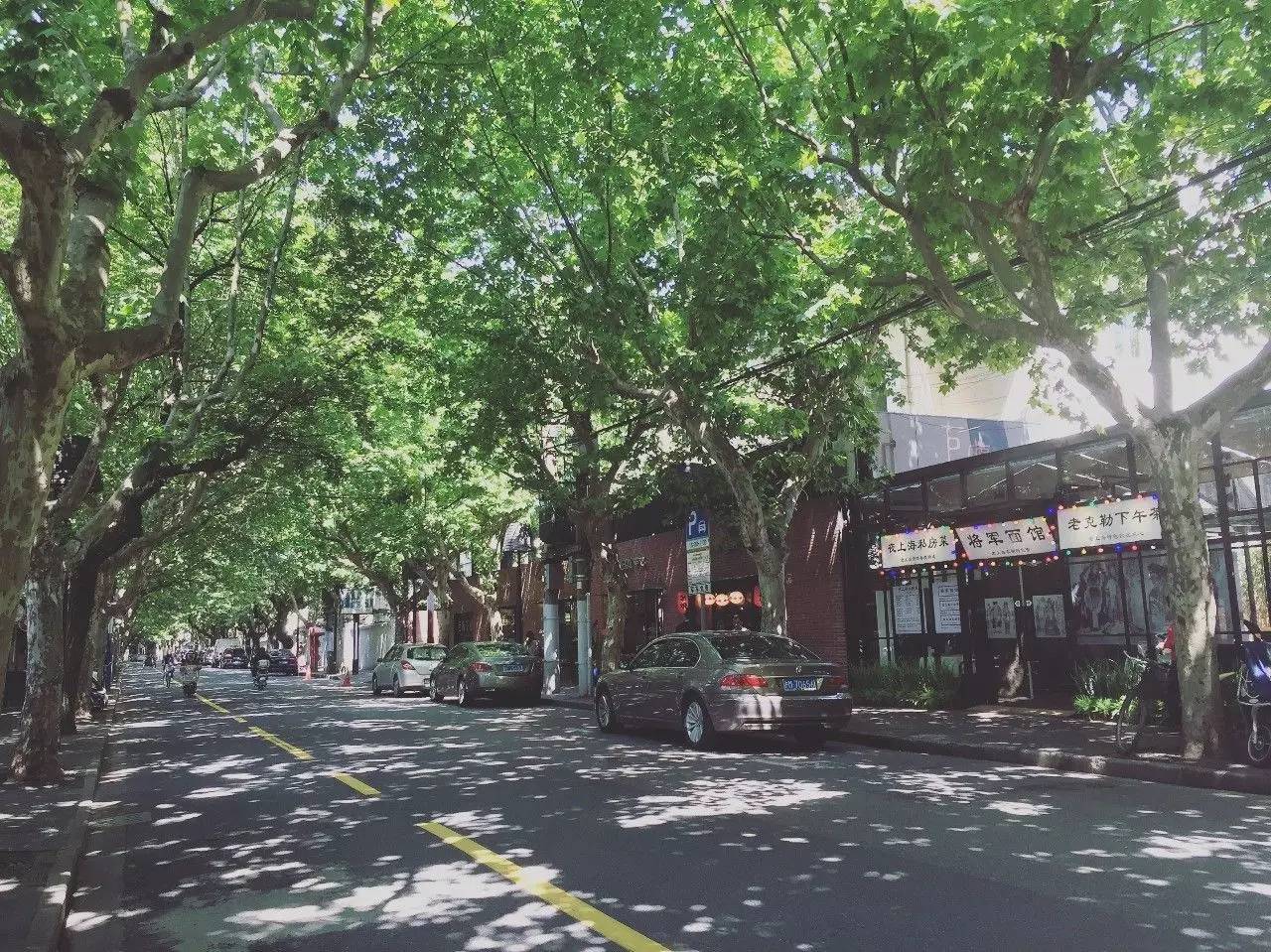 藏在这6个精致去处里的上海，让你从日本穿越到北欧