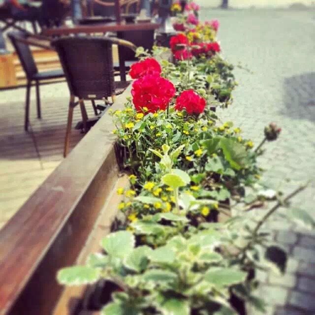 捷克伏尔塔瓦河简介,伏尔塔瓦河自由行热门攻略