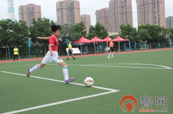 礼仪之花绽放国旗下讲话,礼仪之花盛放校园