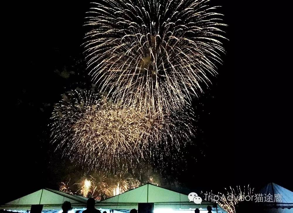 日本顶级烟花大赏美的不可胜收,2019日本烟花大赏