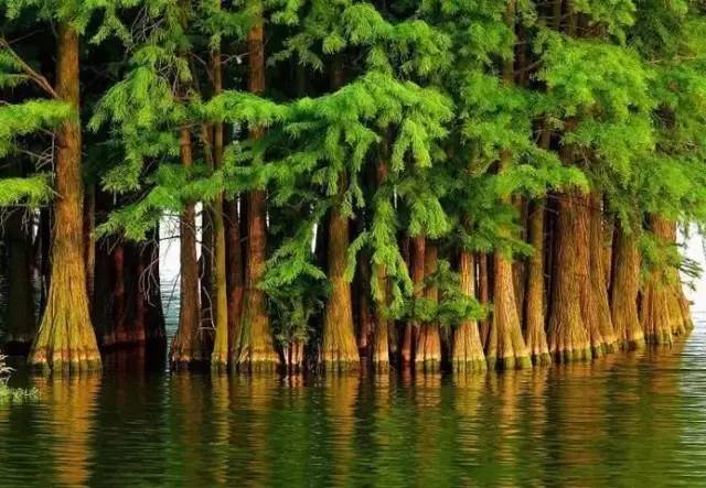 梅雨季应对攻略,拯救梅雨季