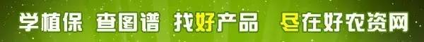 农资人的辛酸泪,农资人应该如何破局