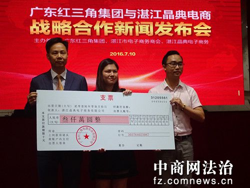 红三角集团股份有限公司简介,红三角集团