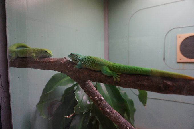 一个人的旅行东京,一个人的名古屋