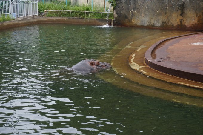 一个人的旅行东京,一个人的名古屋