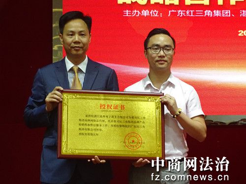 红三角集团股份有限公司简介,红三角集团