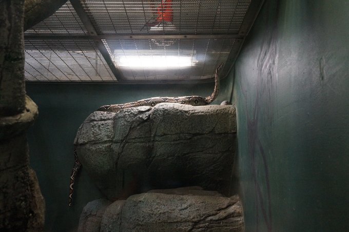 一个人的旅行东京,一个人的名古屋