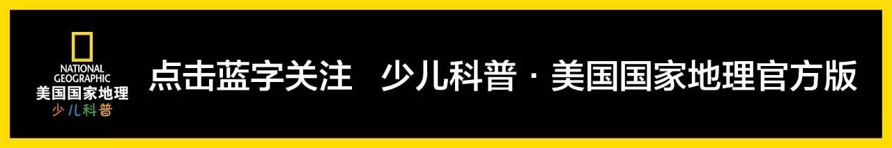 鍥㈣喘鐏北,鐏北鍥㈣喘鎺ㄨ崘鍟嗗搧