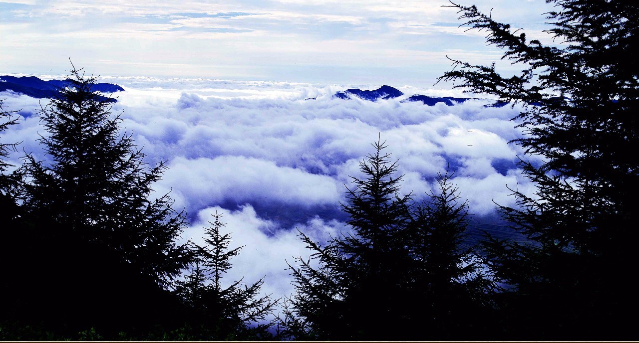 见证长征｜一代伟人毛*东泽**与红军将士在六盘山的足迹