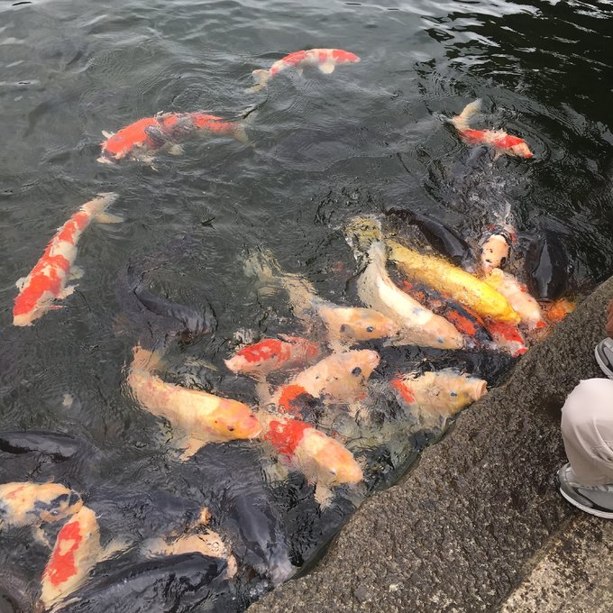 一个人的旅行东京,一个人的名古屋