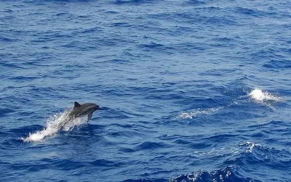 西沙群岛迷人的地方,边疆有个美丽的地方