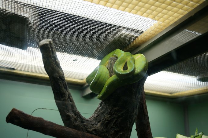 一个人的旅行东京,一个人的名古屋