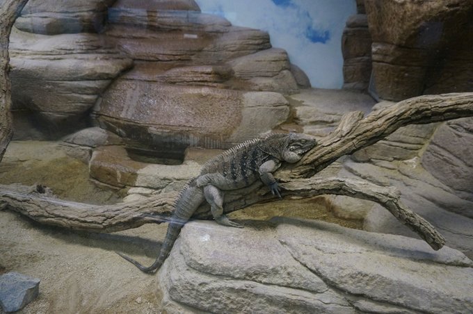 一个人的旅行东京,一个人的名古屋