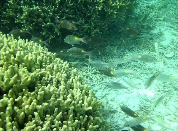 西沙群岛迷人的地方,边疆有个美丽的地方