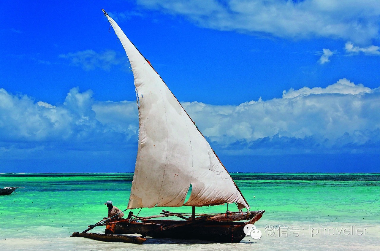 星球坐标|热带岛屿High5:就在这里消夏度假!