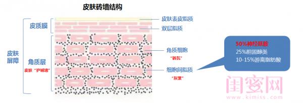 珀莱雅海洋安瓶,珀莱雅全新海洋安瓶