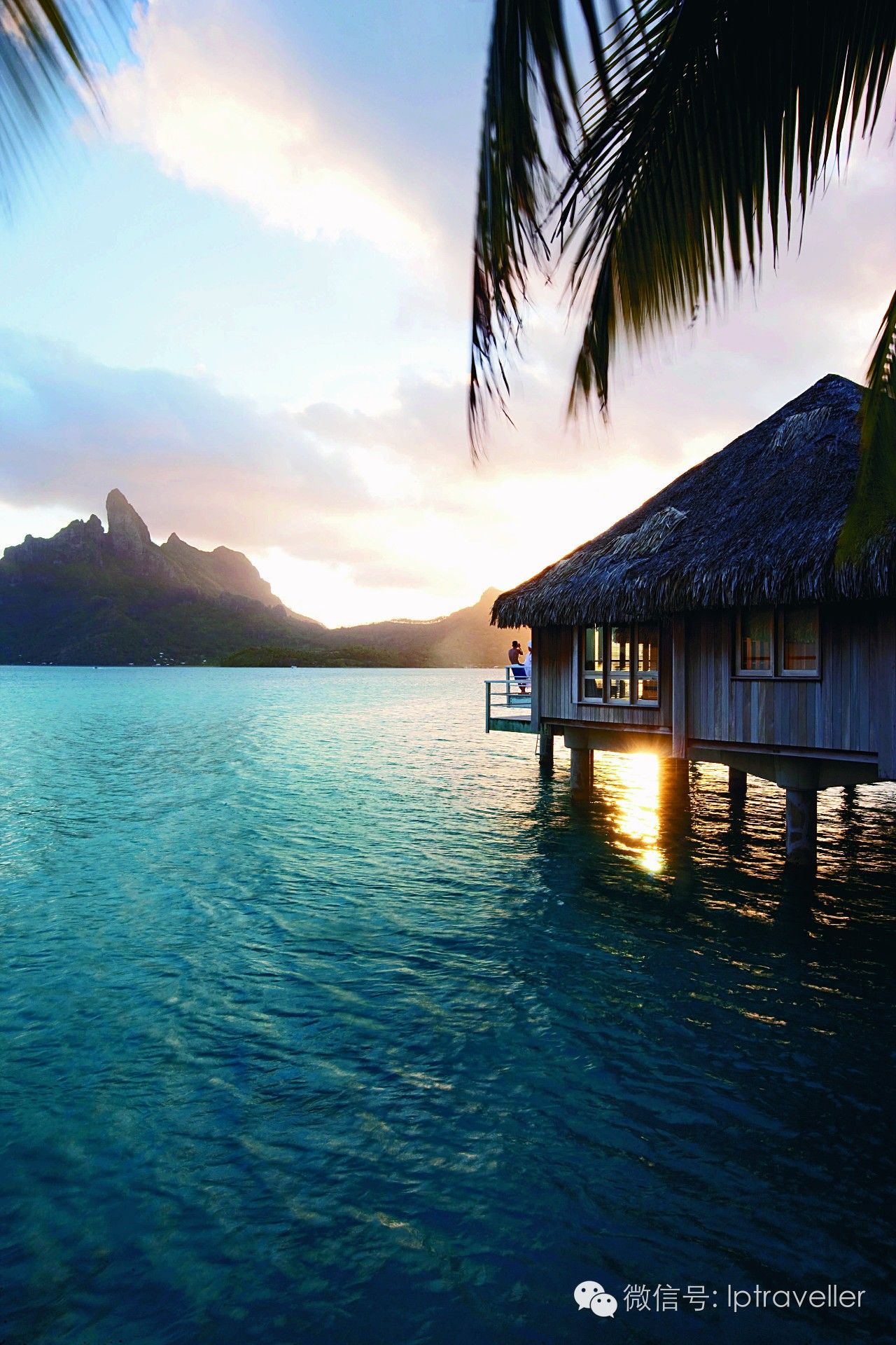 星球坐标|热带岛屿High5:就在这里消夏度假!