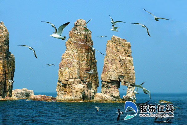 烟台旅游形象征集令,烟台征集旅游金点子