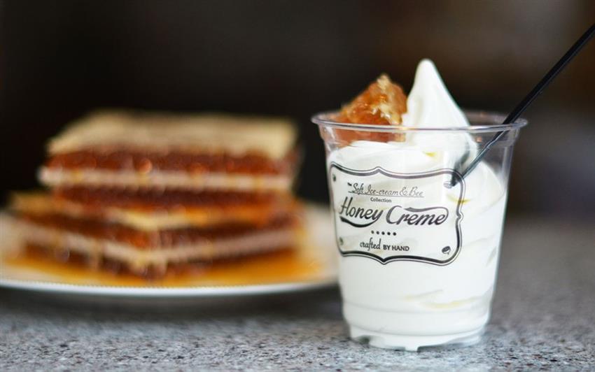 世界上最好吃的十款冰淇淋,史上最好吃的五款冰淇淋