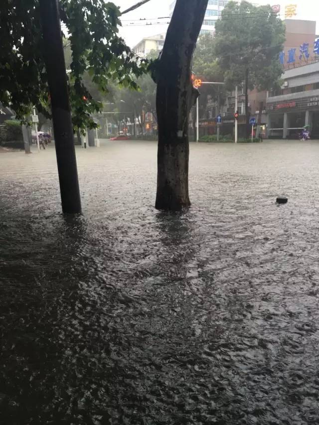 今天，全国人民都在关注这座城市！｜赣州人涉水一定要注意！