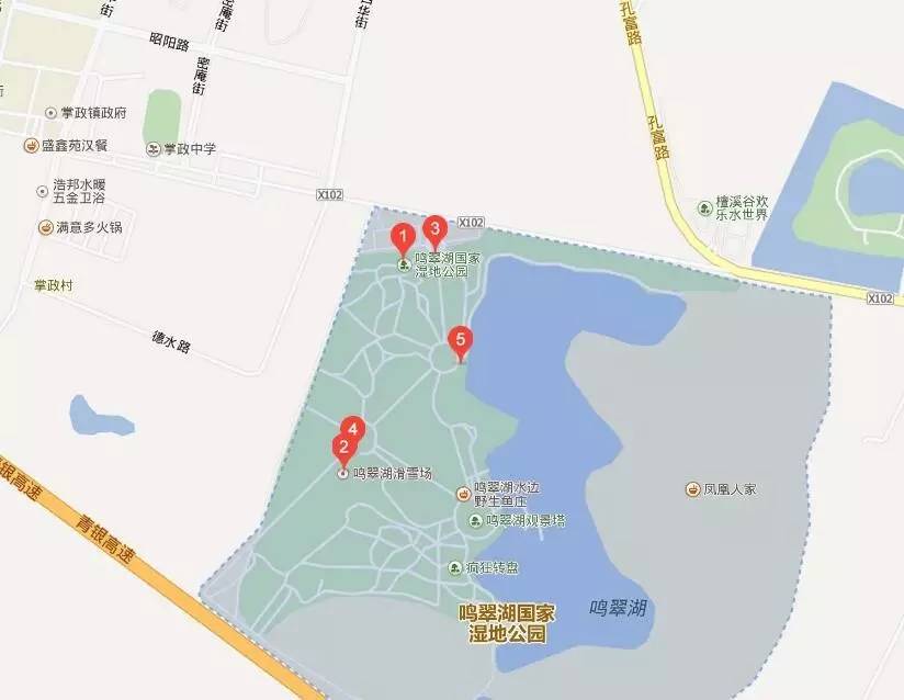 东方普罗旺斯紫色花海,普罗旺斯绚丽花海