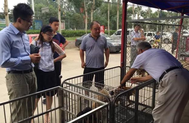 华北最大宠物市场—通州梨园狗市退市，商户进驻燕郊京丰宠物基地