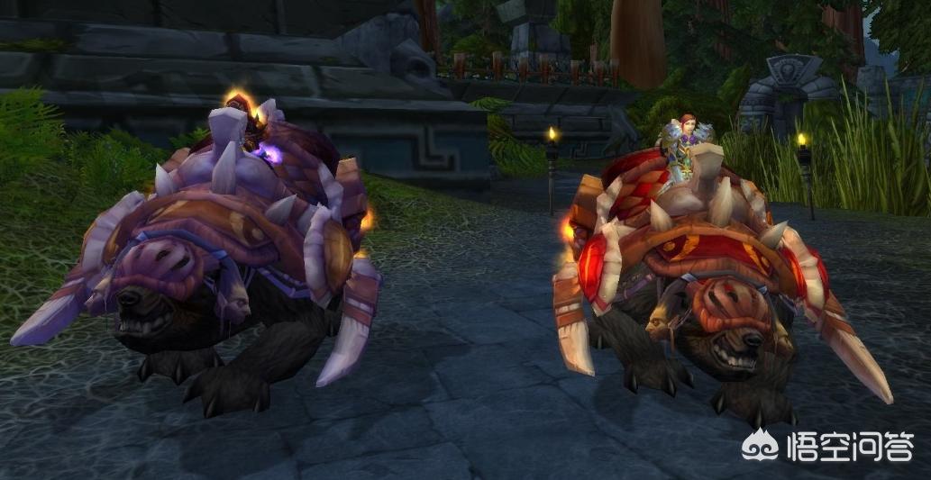 魔兽世界副本坐骑攻略大全,魔兽世界坐骑副本